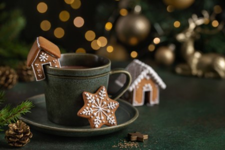 a cup of hot chocolate with gingerbread cookies