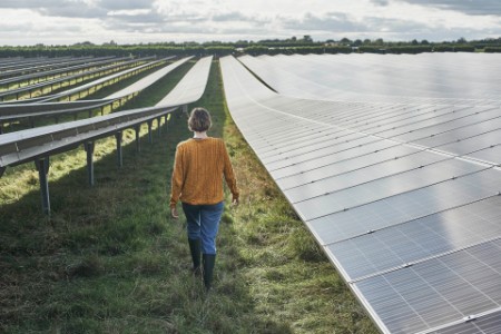 Kvindelig landmand går gennem solcellepark