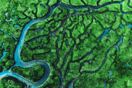 Ovenbillede af snoet flod, der løber gennem et frodigt grønt område