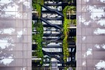 Etagebygning med grønne planter indenfor