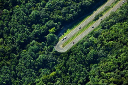 U-turn på motorvej i skov