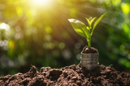 Münzen mit Investitionen an der Spitze auf dem Boden in der grünen Natur Hintergrund für Wachstum Business-Konzept setzen