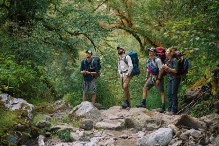 Four people looking up during rest on trek through the jungle
