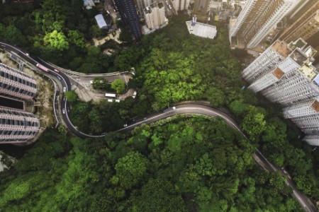 Luftaufnahme einer kurvigen Straße im Wald