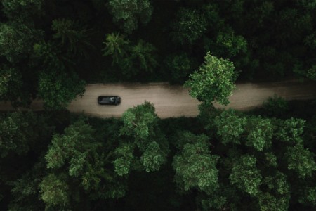 Ein Auto fährt über einen Waldweg