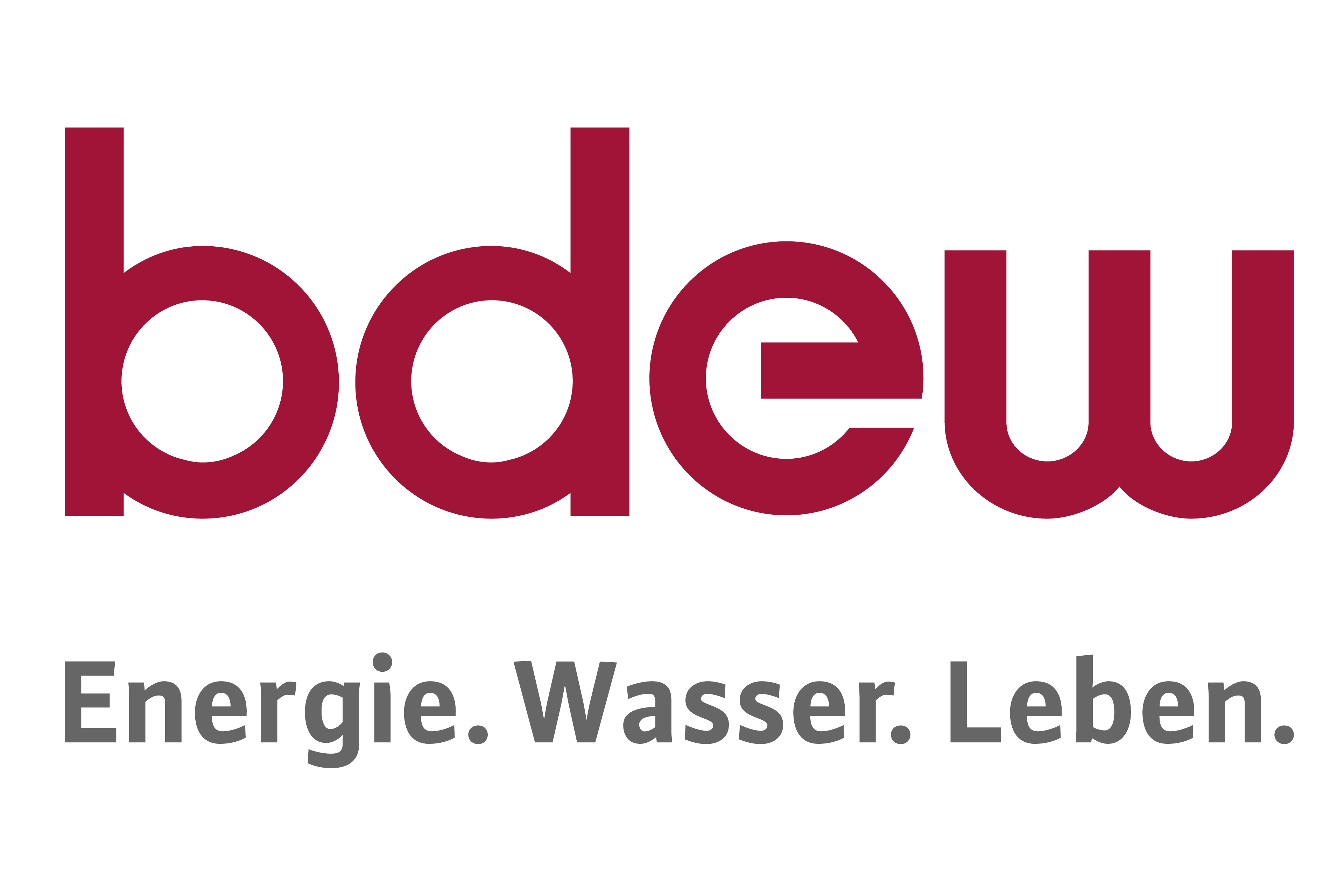 BDEW Logo