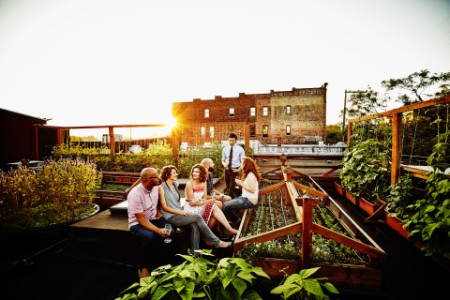 Gruppe von Freunden in einem Rooftop Garten bei Sonnenuntergang