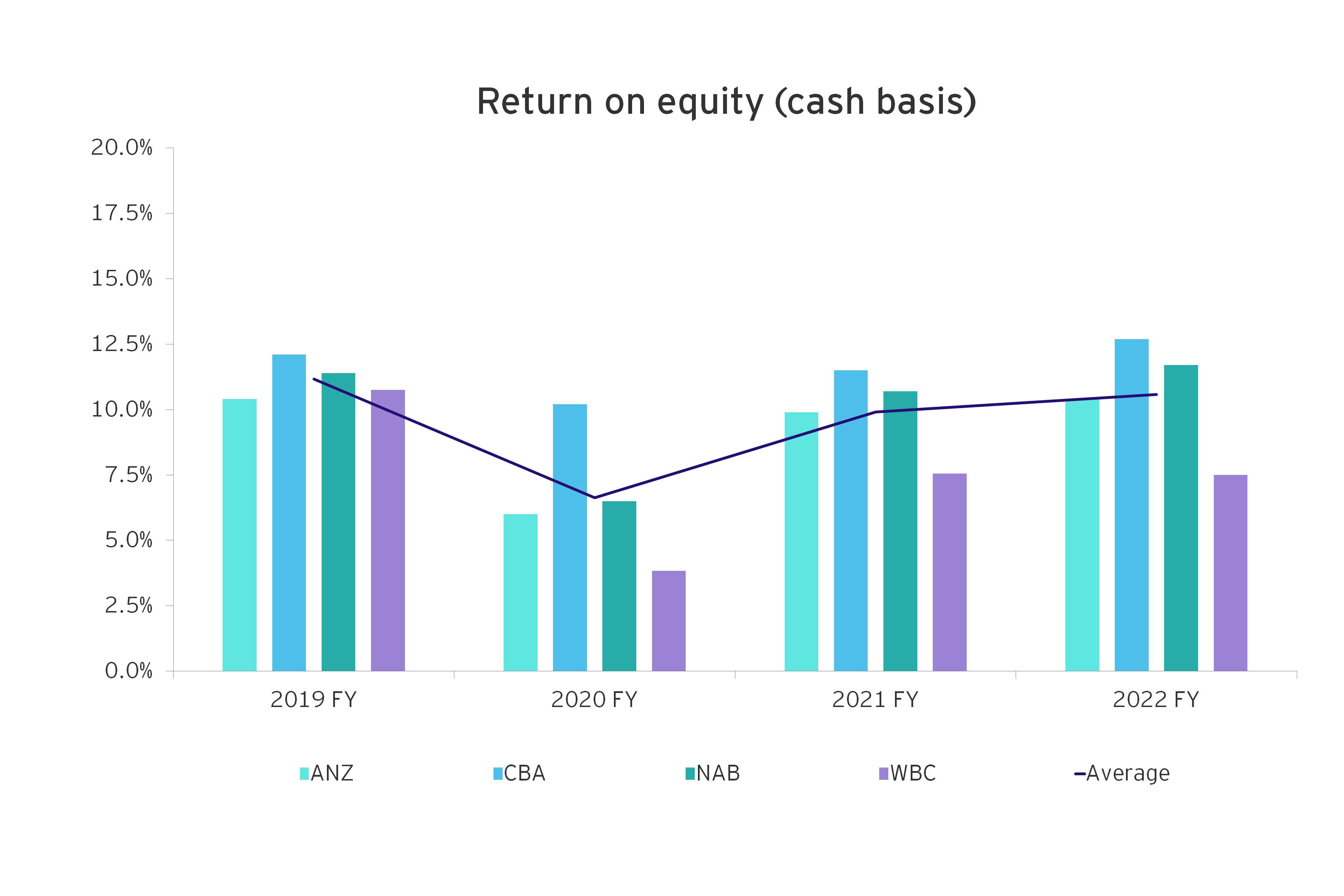Return on equity cash basis
