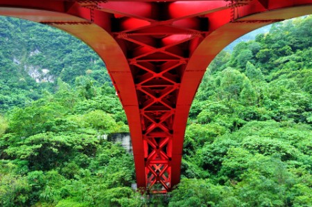 Red bridge in front of forest
