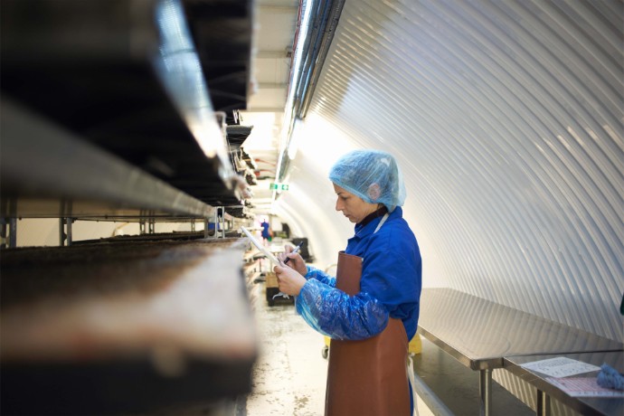 How a future-focussed food manufacturer flicked the switch on renewable energy