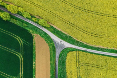 Road junction through agricultural fields