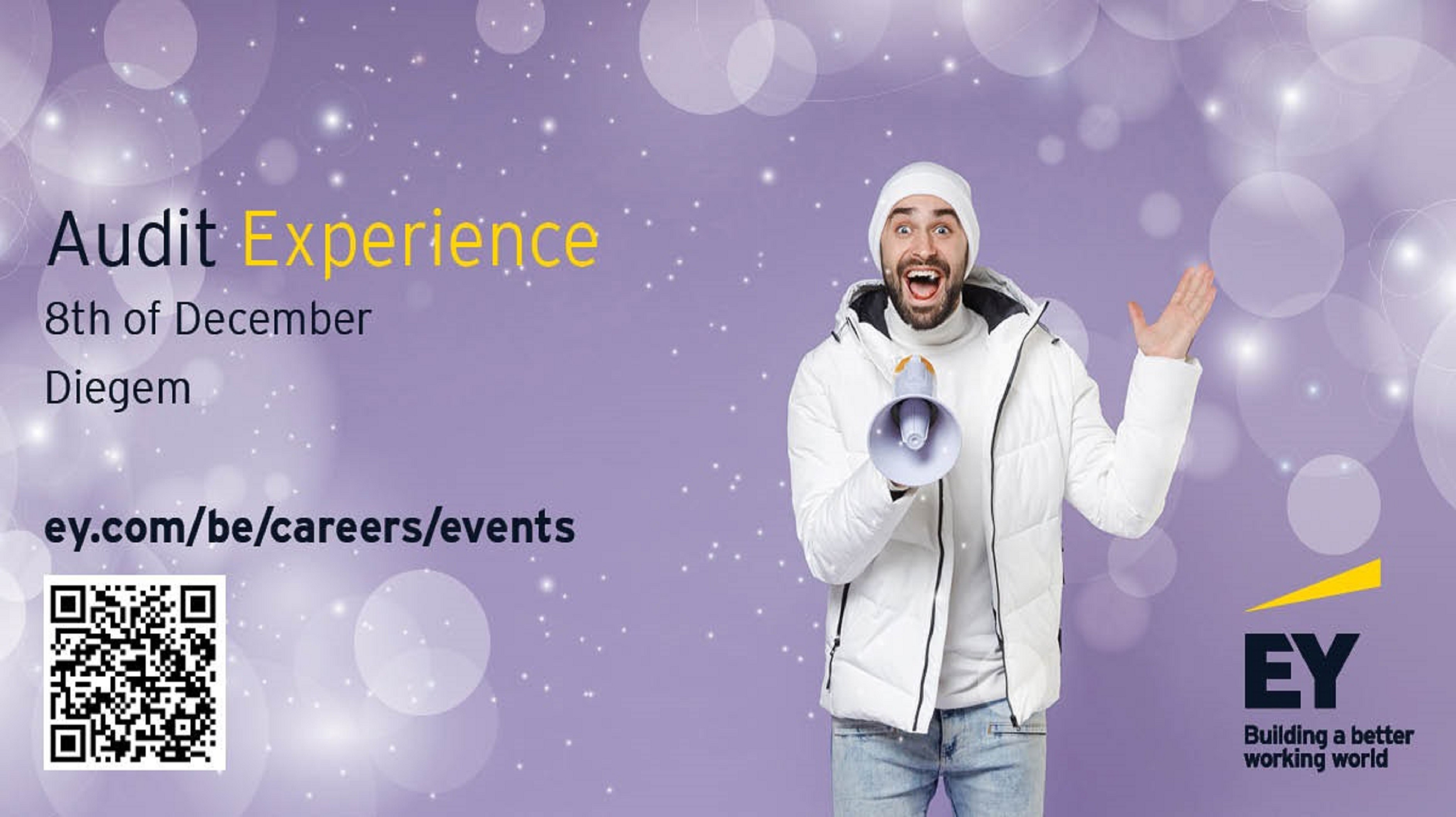 Audit Experience - promotional banner