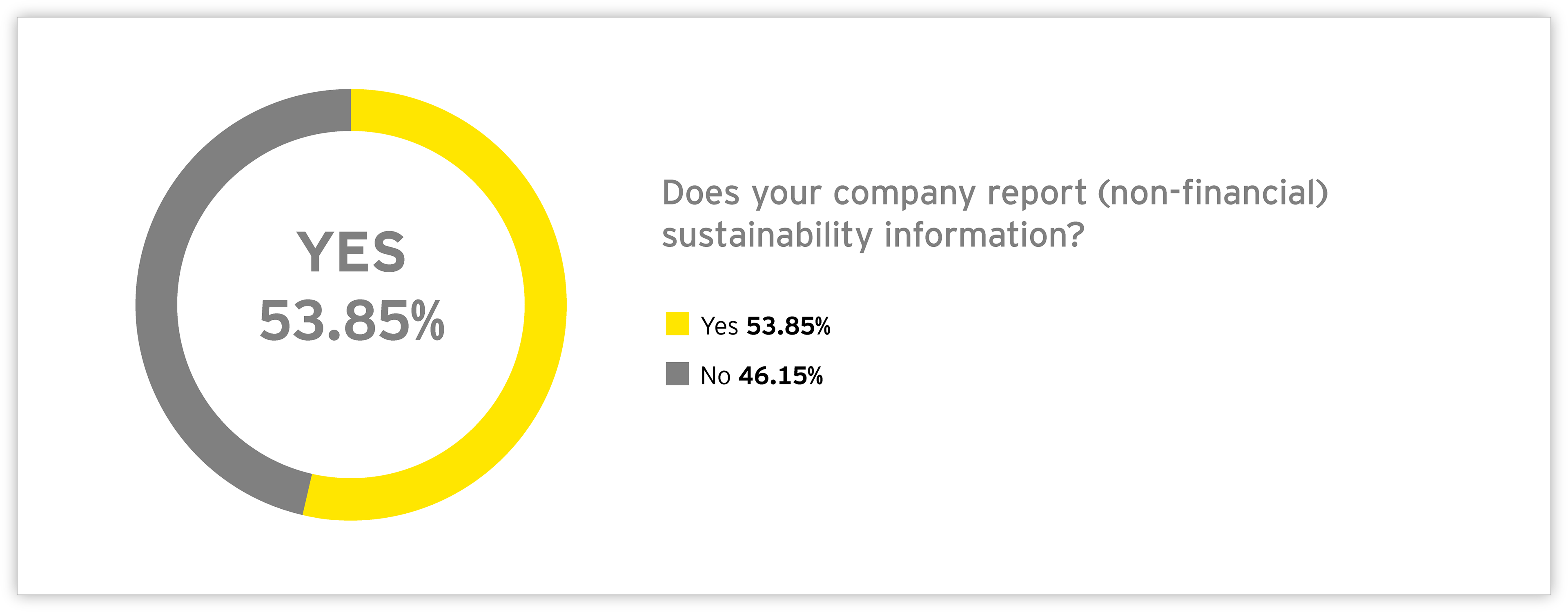 Graph: Does your company report (non-financial) sustainability information?