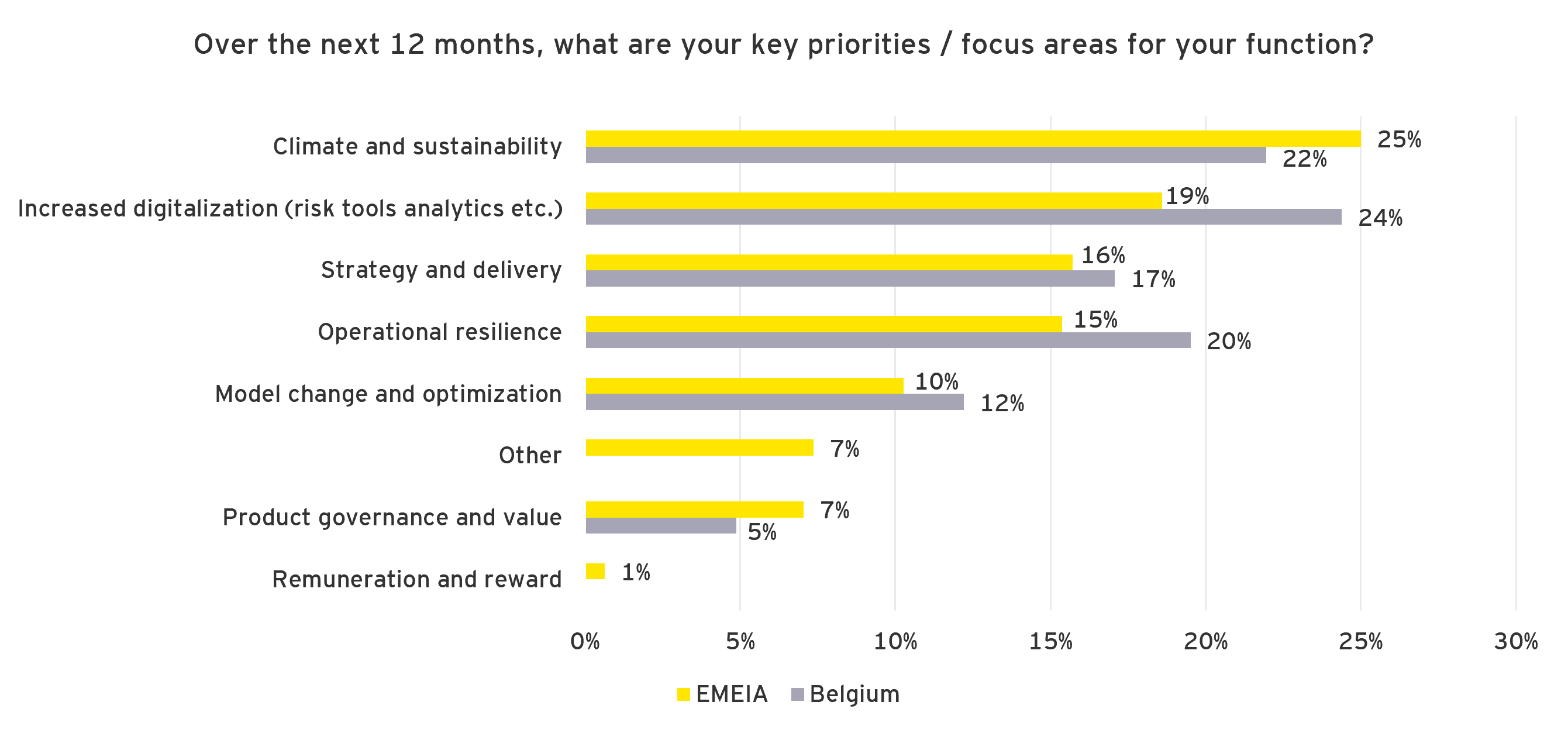 Graph: Over the next 12 months, what are your key priorities / focus areas for your function?