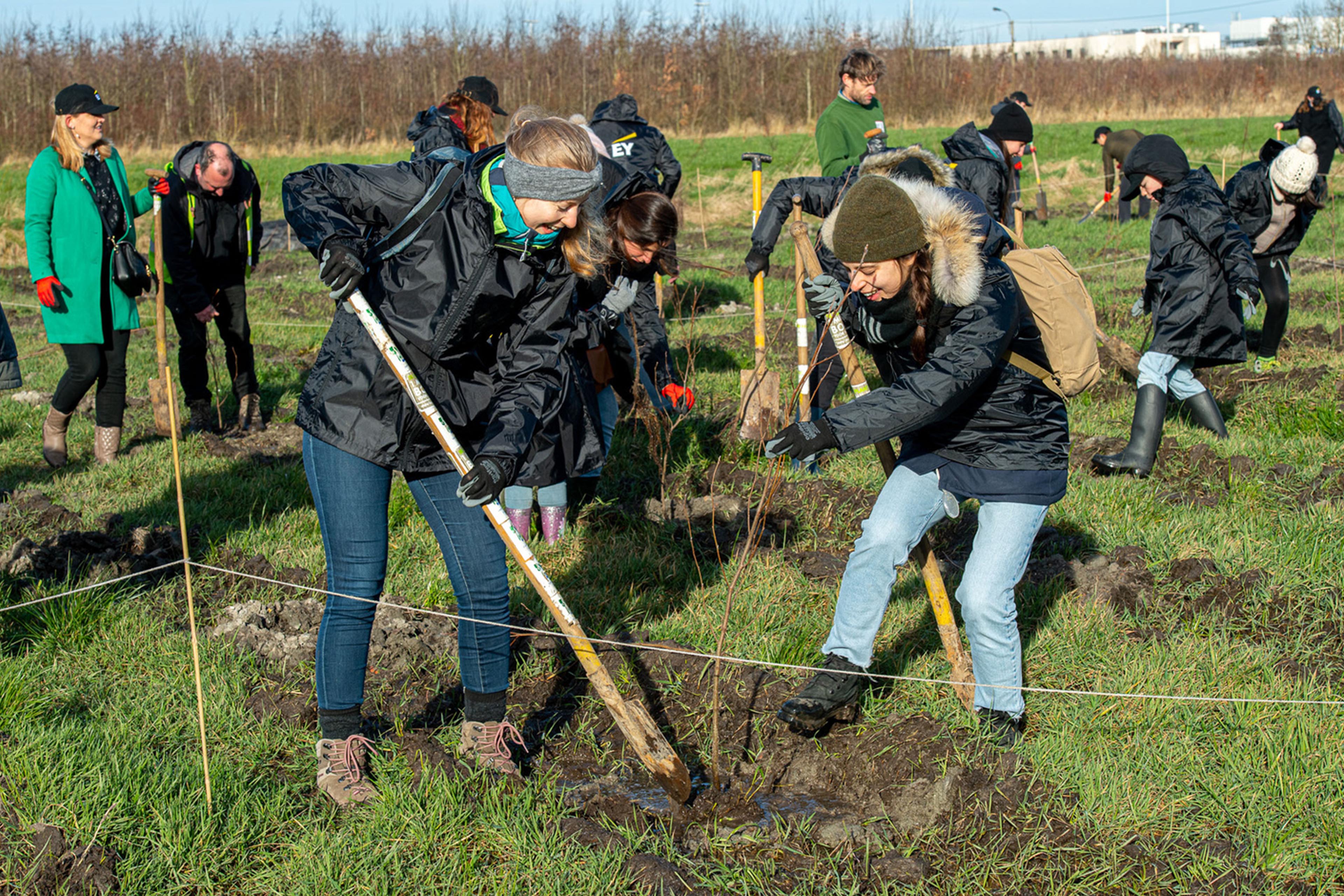 Colleagues plant 5000 trees