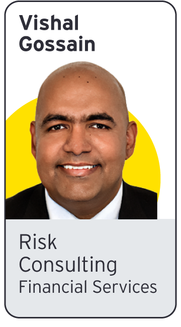 EY - Photo of Vishal Gossain | Risk Consulting