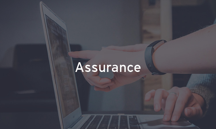 Assurance | EY Canada