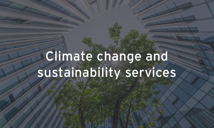 Climate change and sustainability services | EY Canada