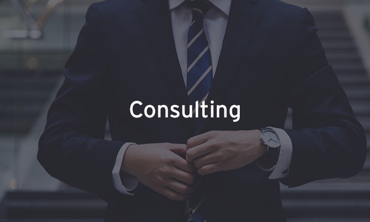 Consulting | EY Canada
