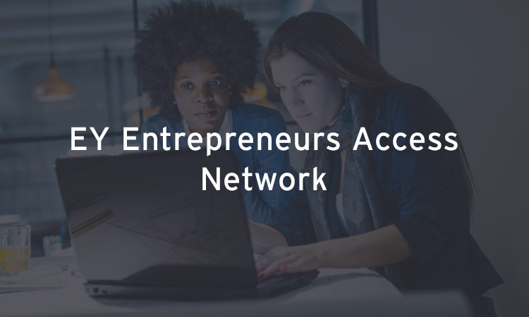 EY Entrepreneurs Access Network