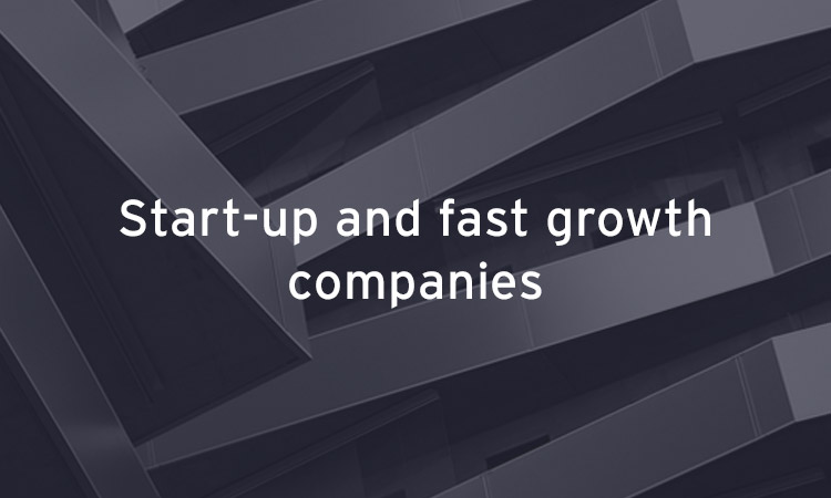 Start up and fast growth companies