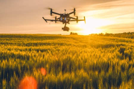 EY - Drone field sunset
