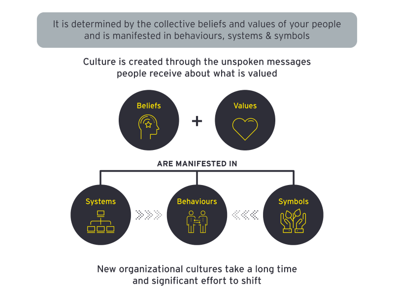 Corporate culture graph1
