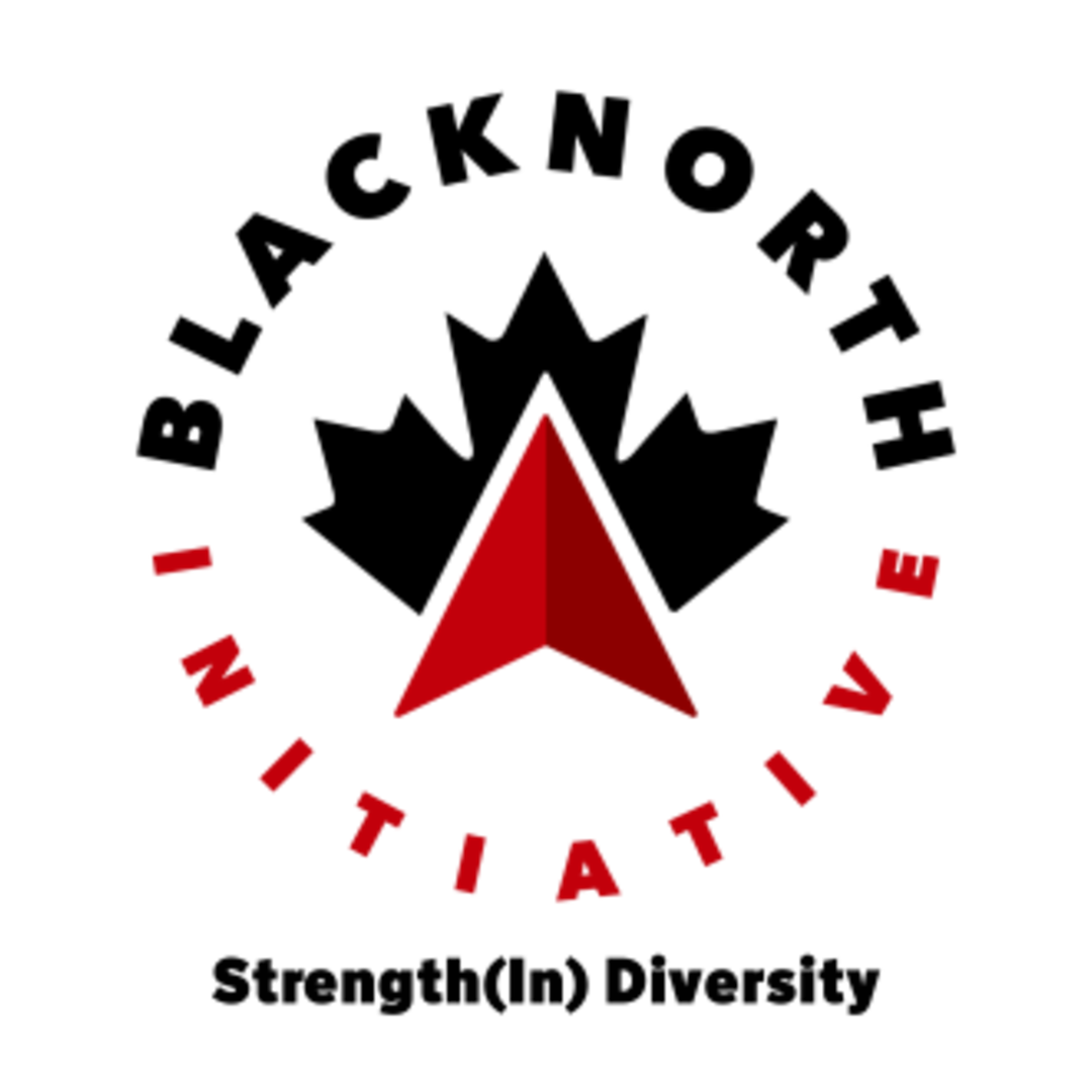 BlackNorth Initiative