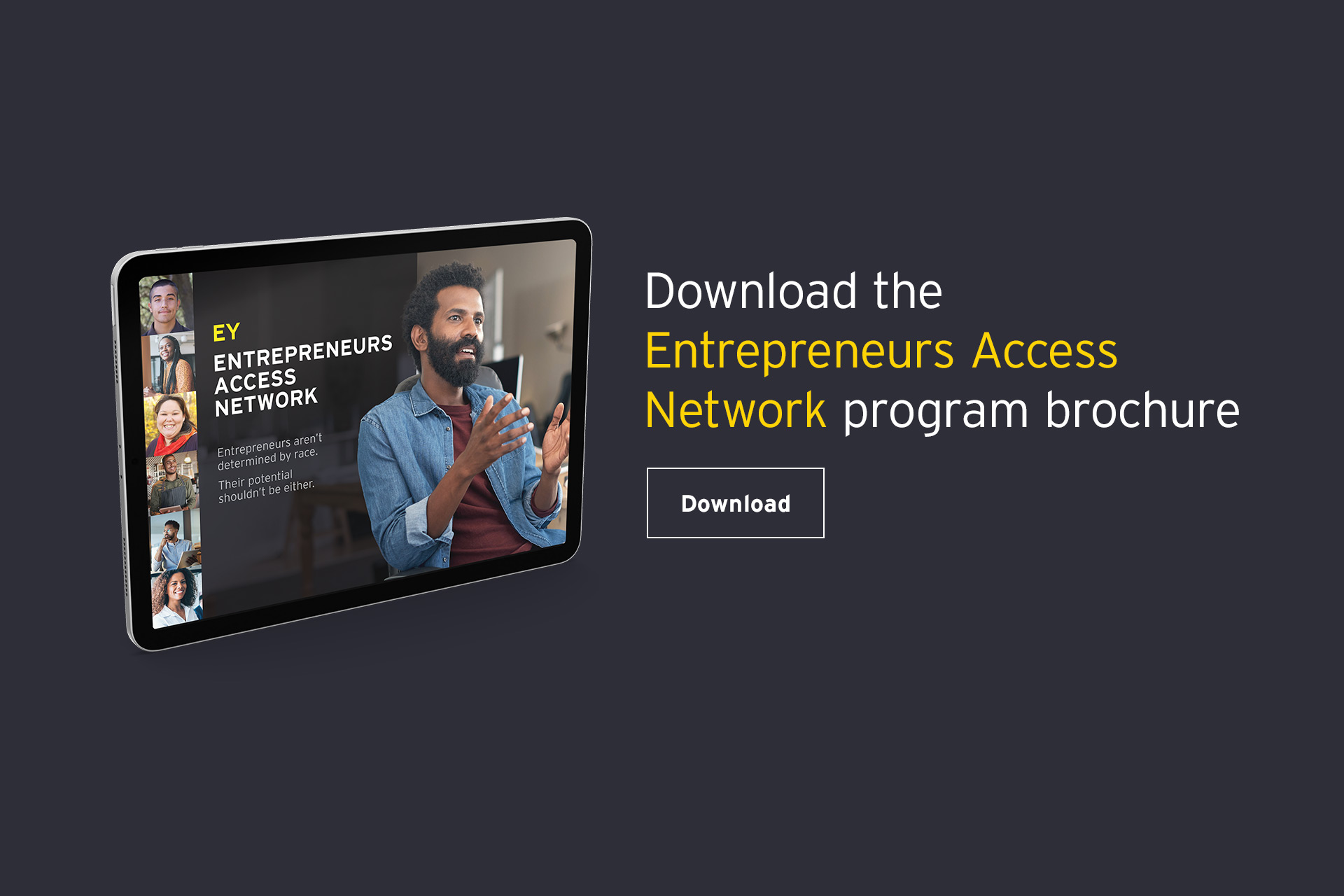 Download the EY Entrepreneurs Access Network program brochure