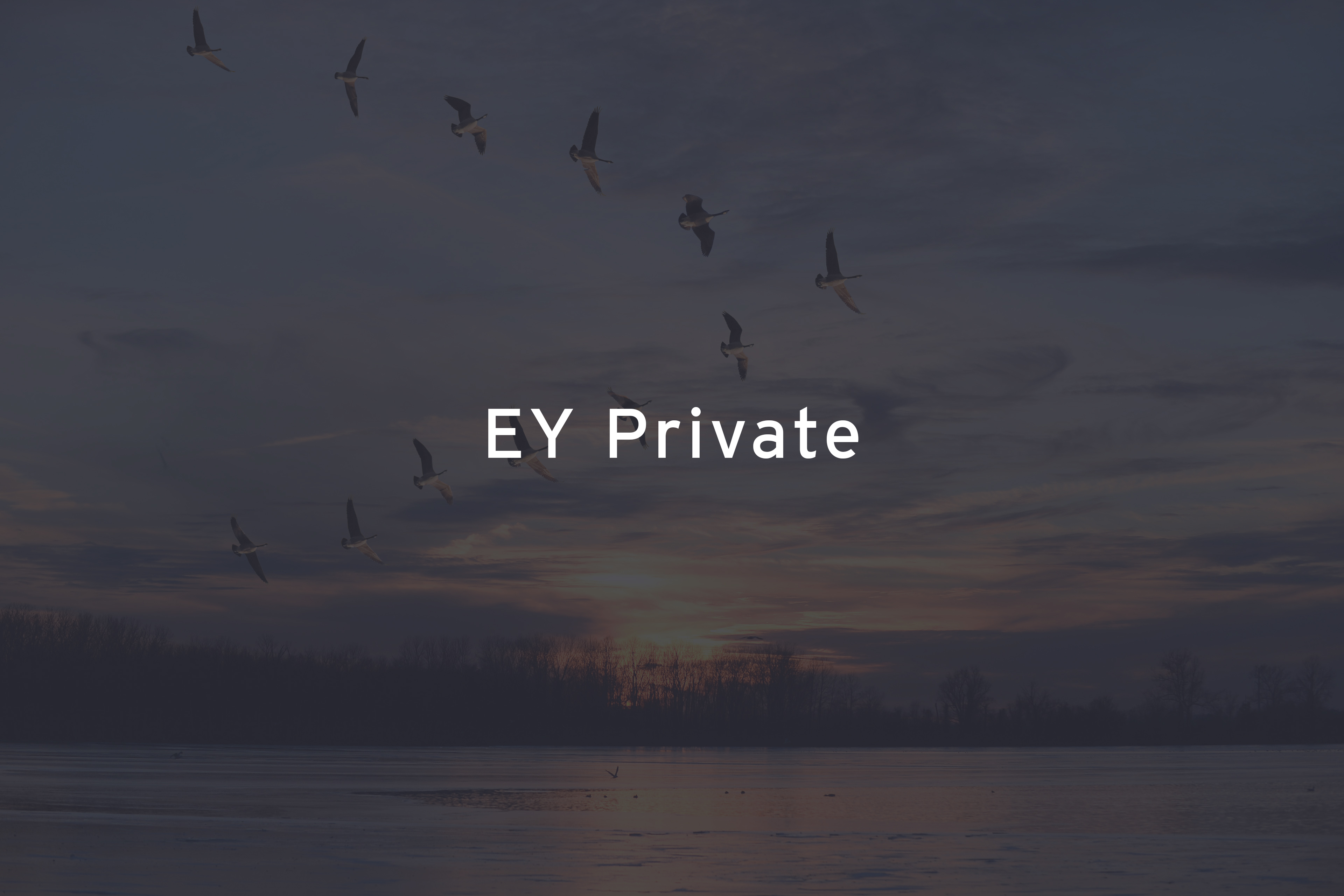 EY Private
