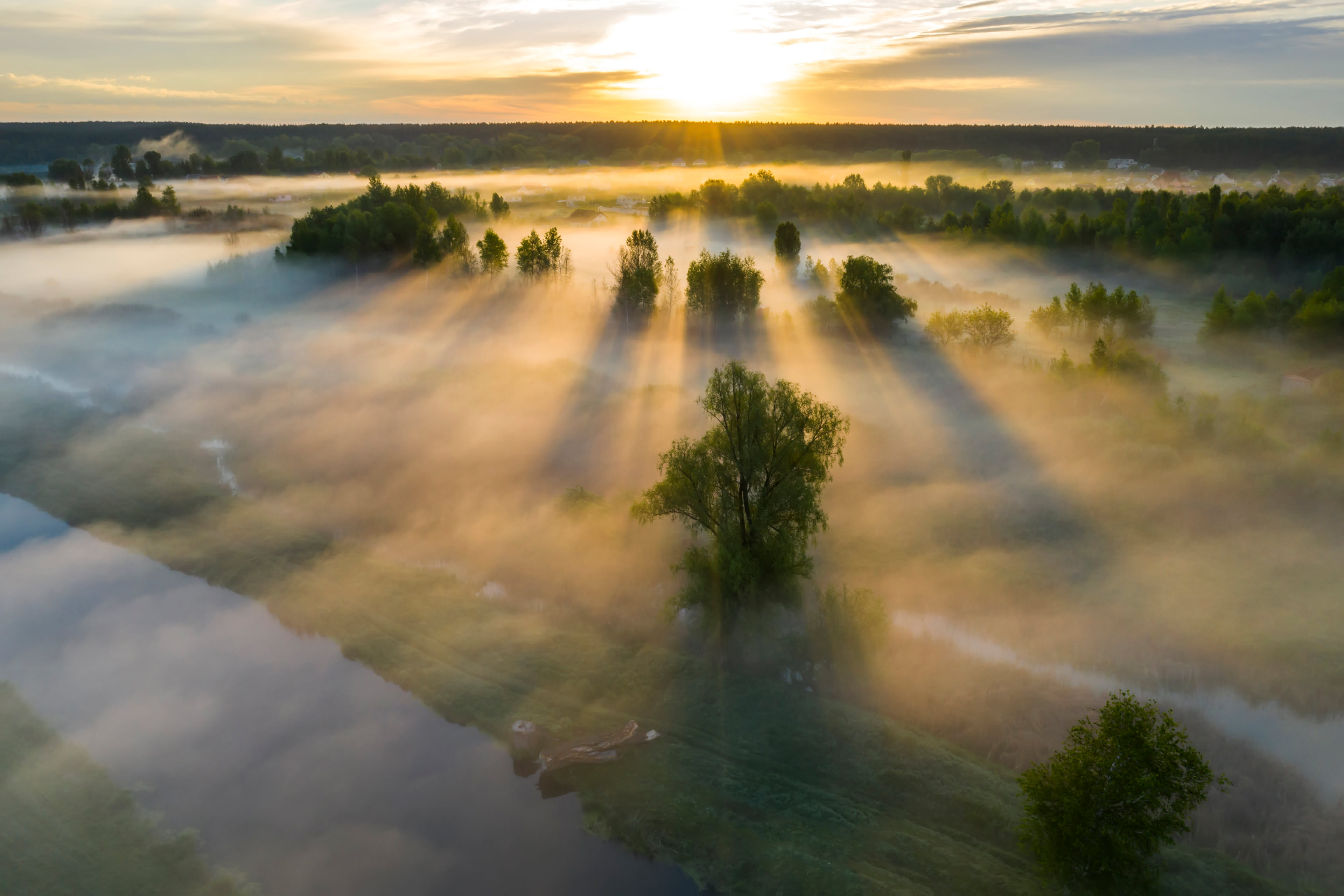 EY Canadian Insurance Outlook 2023 EY Canada   Ey Beautiful Misty Dawn In The Spring On The River V2 