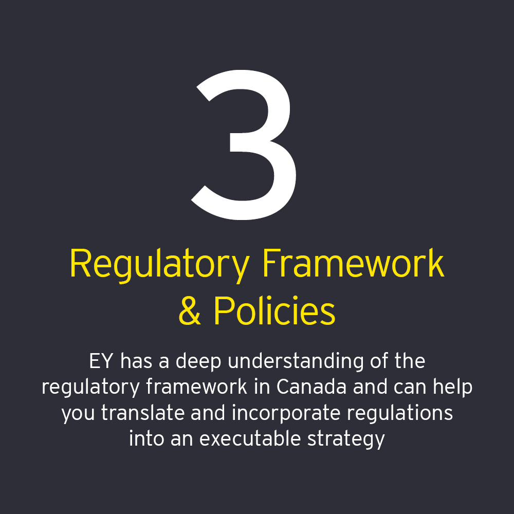 EY - Regulatory Framework & Policies