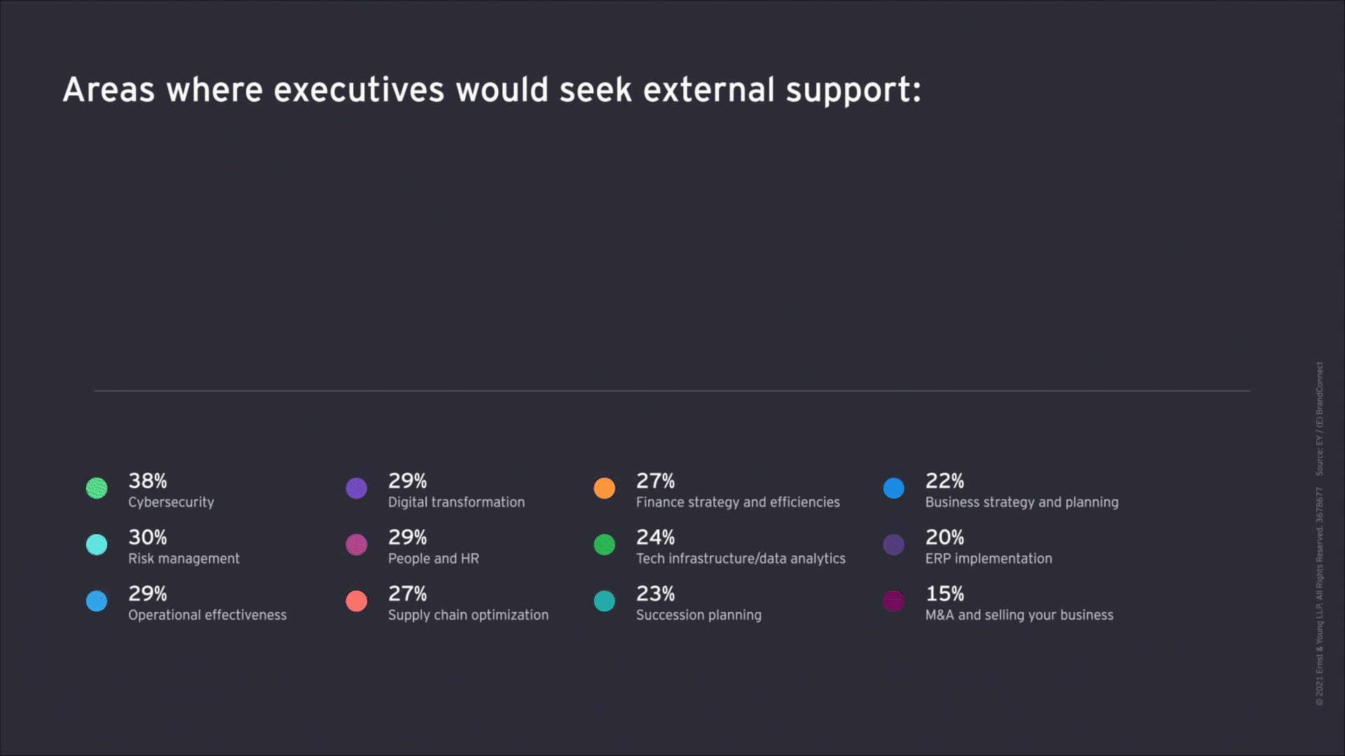EY - Areas where executives would seek external support