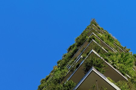 
            EY – Immeuble avec verdure et ciel bleu
        