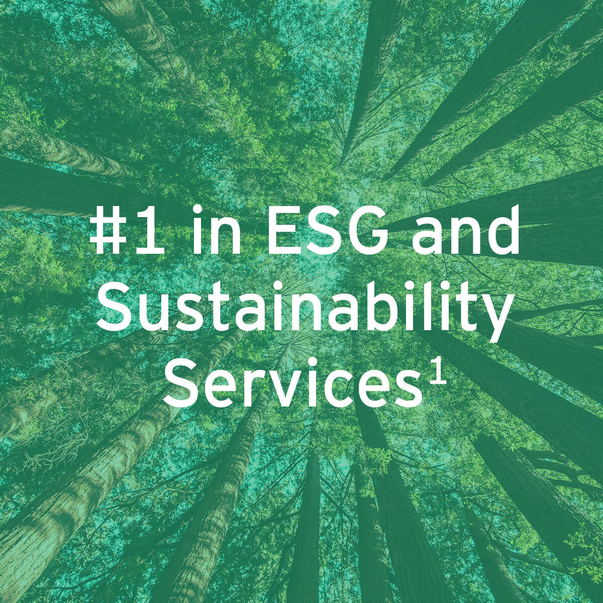 EY - #1 in ESG and Sustainability Services