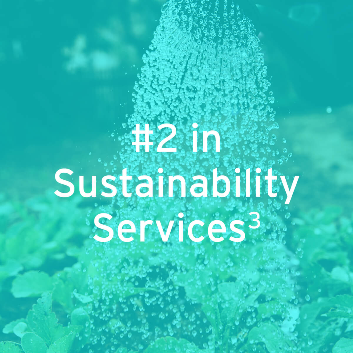 EY - #2 in Sustainability Services