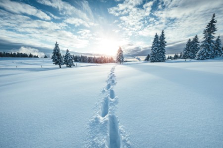 EY - Footsteps in snowy winter landscape