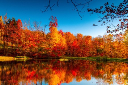 EY - Fall Foliage reflecting on lake