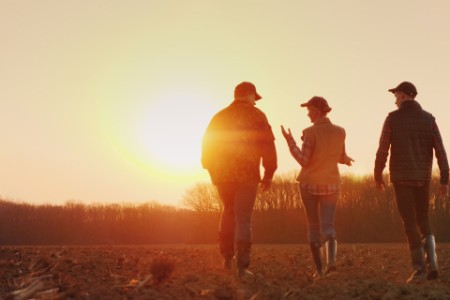 EY - Three farmers walking in field at sunset