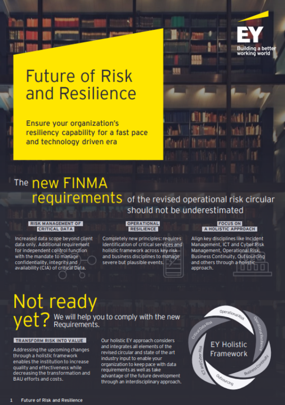 ey tech risk consulting case study
