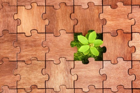 Puzzle with fresh grass and small plant