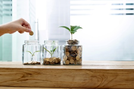 Woman putting coin in the jar with plant