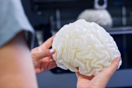 An image of 3d printed brain model.