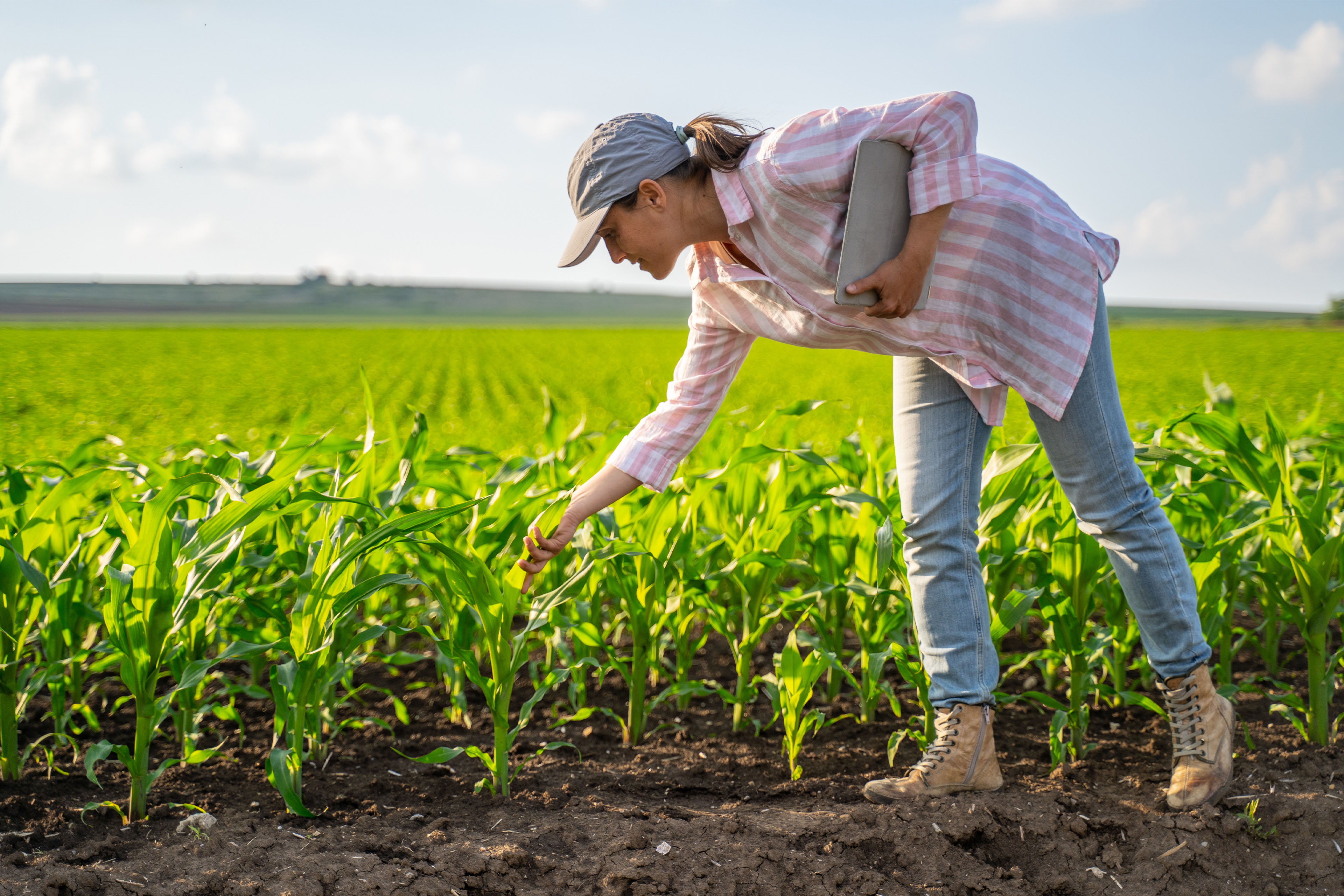 Transparency in Crop Protection