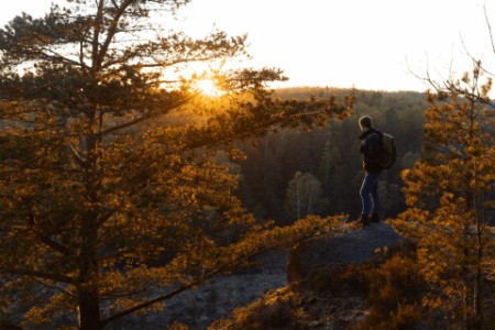 A man with a backpack standing on a rock in the forest at sunset.