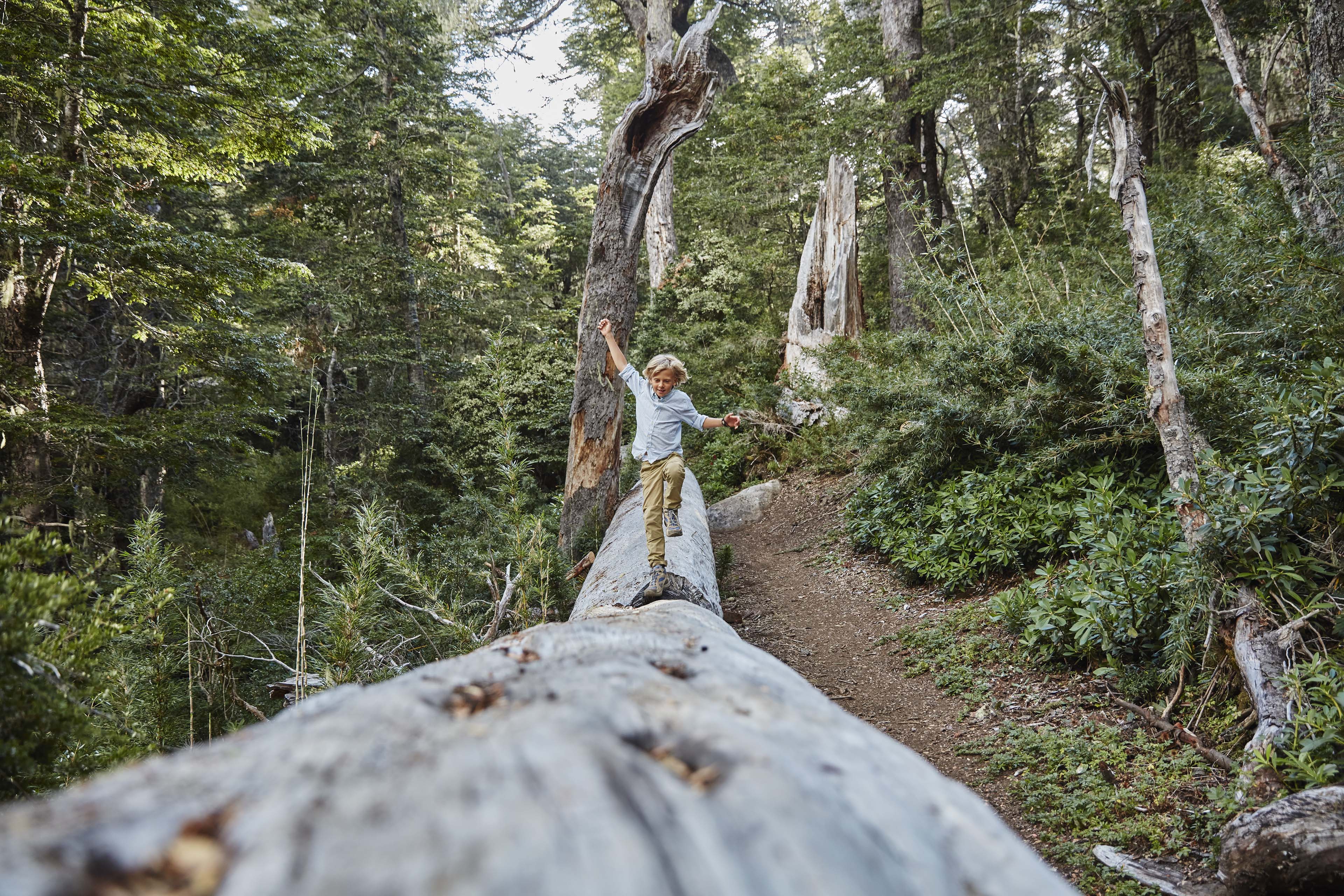 Boy balancing on a fallen tree trunk in a forest