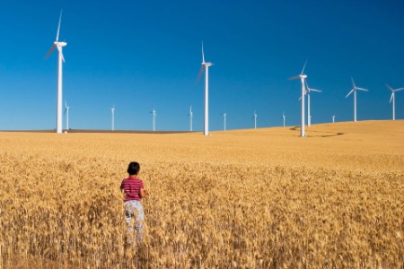 Boy playing in field nearby windmills