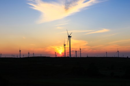 Wind power plants by a forest during sunset