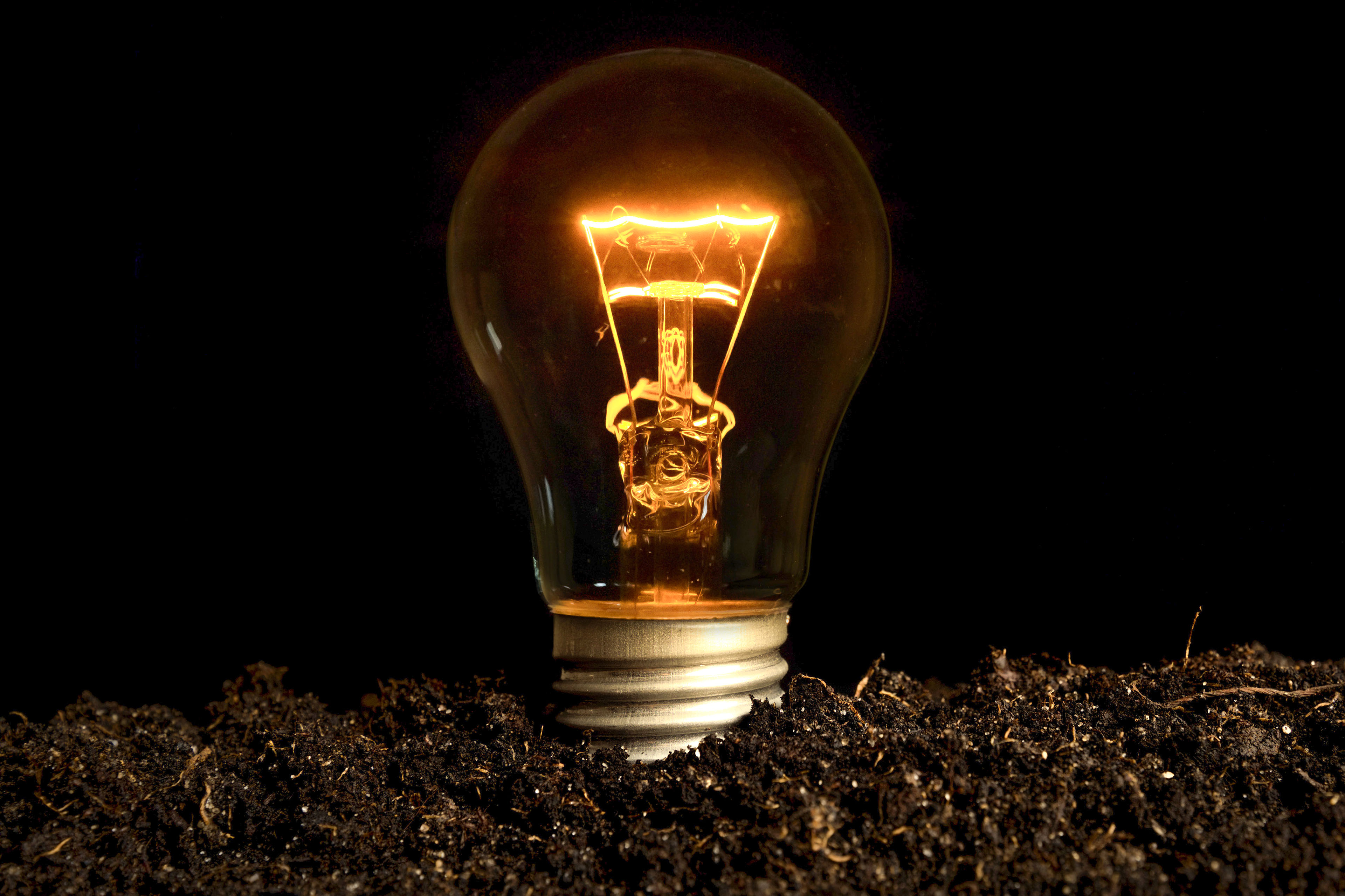 Image of a light bulb planted in the ground