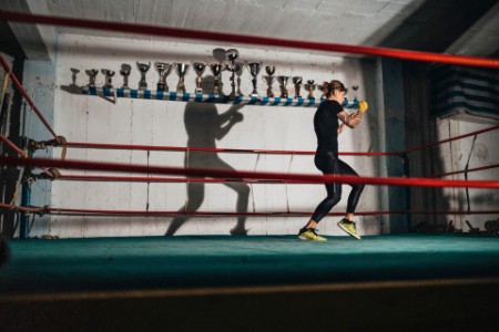 Boxer training ring shadow